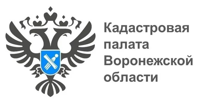 Сайт федеральной кадастровой палаты. Федеральная кадастровая палата. Кадастровая палата лого. Кадастровая палата Воронежской области. Логотип Роскадастра.