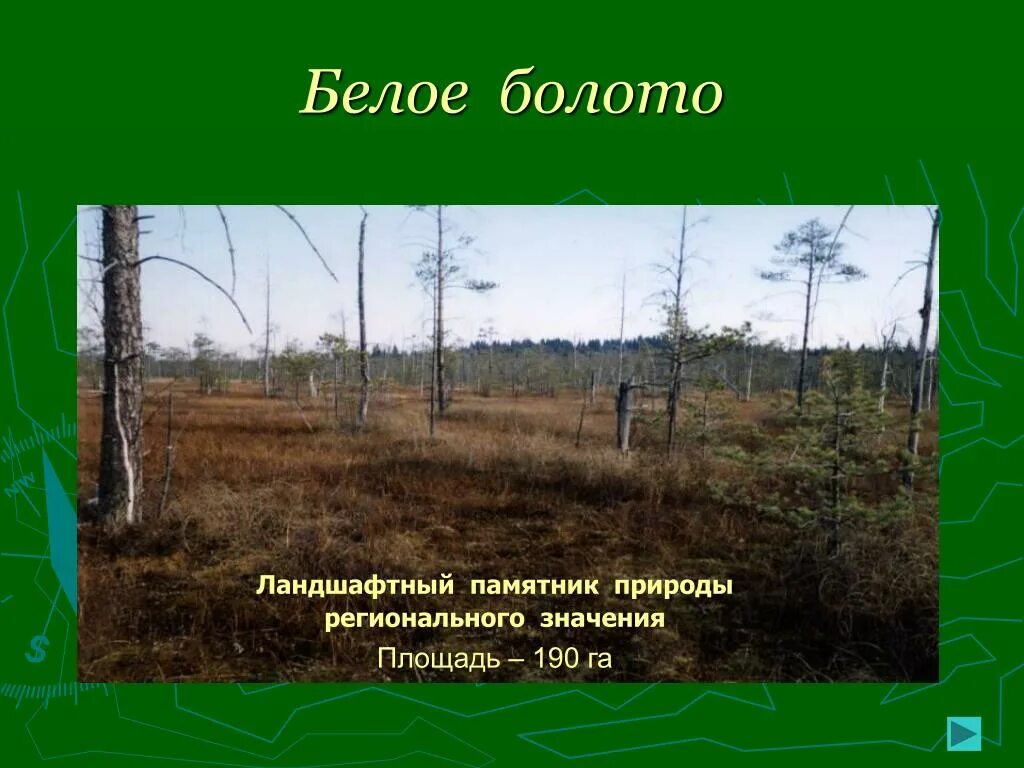 Болота что означает. Болота Пермского края. Болота Пермь. Большое Камское болото. Проект на тему болото.