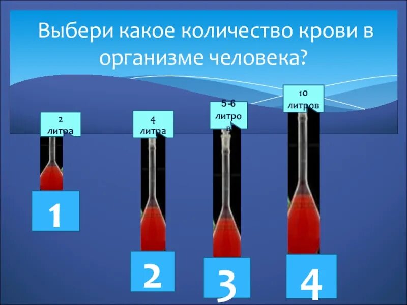 Сколько литров крови в человеке у мужчин. Количество крови в организме. Количество крови у человека. Объем крови человека.