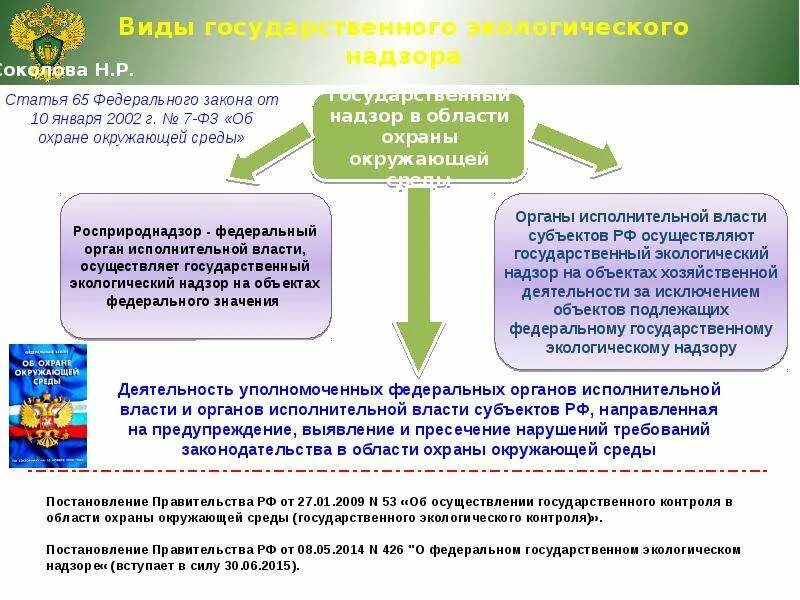 Надзорные органы осуществляющие контроль. Экологические надзорные органы России. Государственный контроль в области охраны окружающей среды. Экологический надзор и контроль в области охраны окружающей среды. Направления государственного экологического надзора.