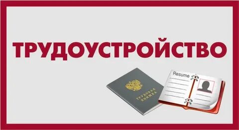Ищу официальное трудоустройство