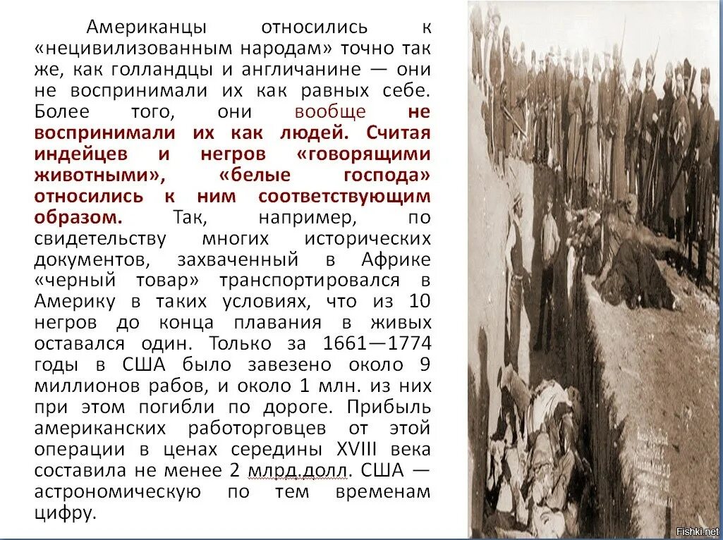 Число жертв великой отечественной войны. Браконьеры охотятся на носорогов. Истребление североамериканских индейцев. Камень шкура тигра. Как называется истребление.