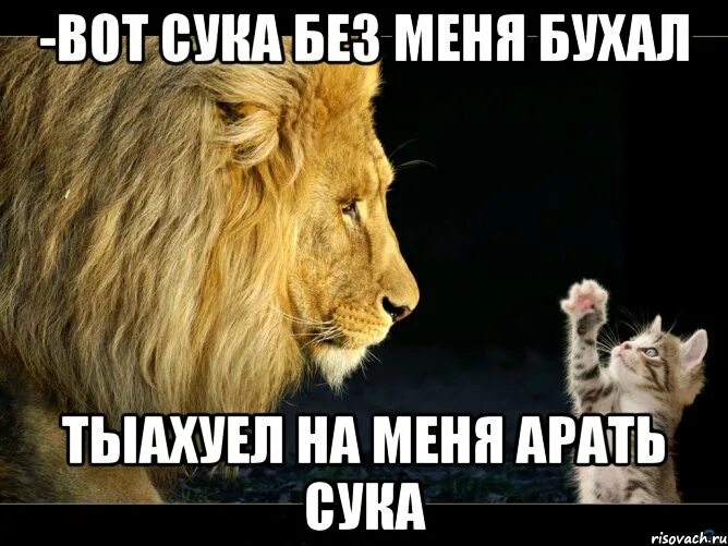 Сука чтоб. Суки бухают без меня картинка. Мем а ты сука и без меня. Без сук. Надпись на картинке сука я такоготне заслужил.