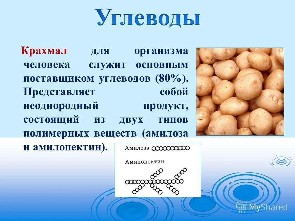 Крахмал водоросль. Крахмал в организме человека. Чем полезен крахмал для организма человека. Полезен ли крахмал для организма человека. Крахмал полезен для организма.