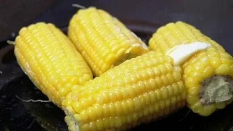Собакам можно кукурузу вареную