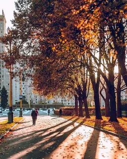 Места где красиво осенью москва
