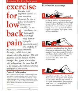 Back exercises