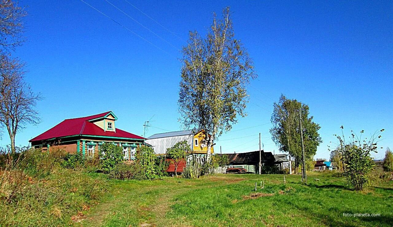Село луговое тюменская. Луговой борок. Луговое нижегородская область. Луговое нижегородская область. Опушка соснового леса.