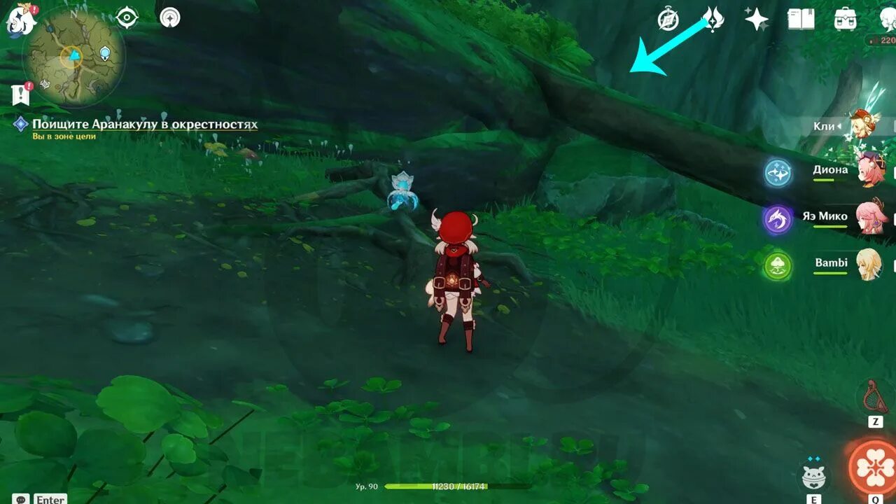 Вместе с аранакулой найдите ветви. Домику аранакулы. Найдите с аранакулой ветви. Где находится аранакула. Вместе с аранакулой найдите ветви геншин импакт.