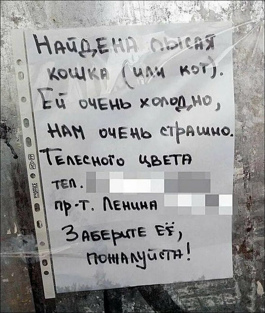 Креативные объявления. Креативные объявления о продаже. Оригинальные объявления. Забавные объявления. Самые интересные объявления.