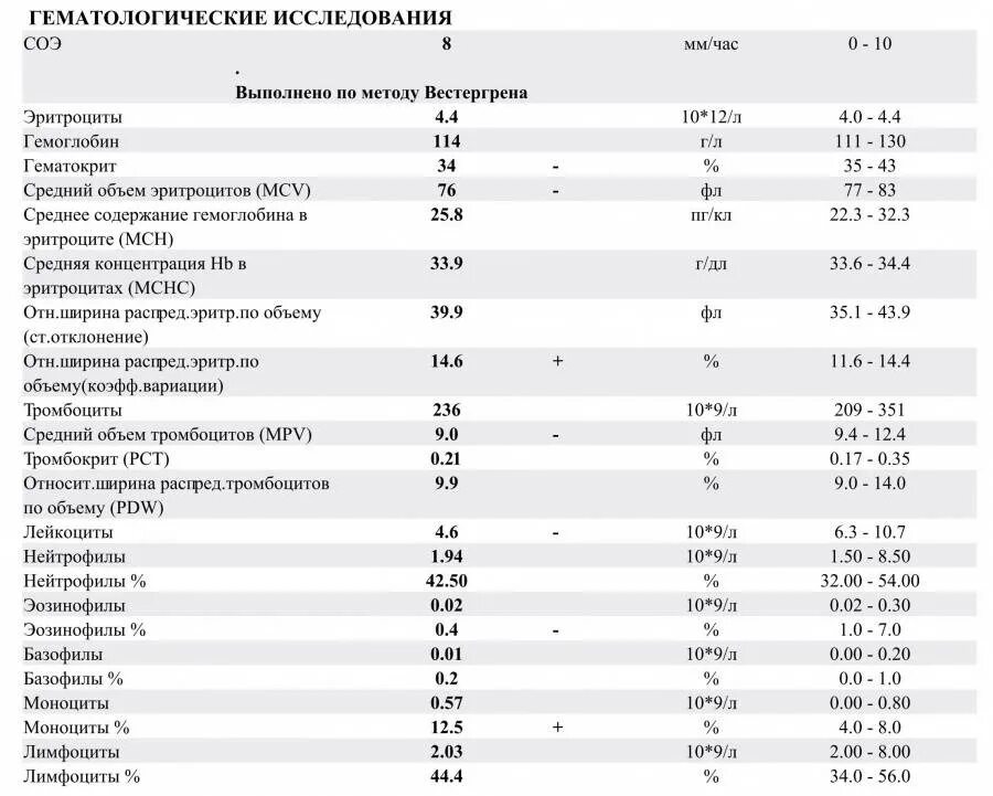 Какая соэ норма у женщин после 60. Базофилы эозинофилы нейтрофилы моноциты и лимфоциты таблица. Нормы показателей лейкоцитов в крови у детей. Общий анализ крови лимфоциты норма. Занижены показатели лимфоцитов, эозинофилов.