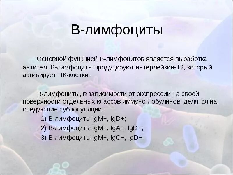 Т и в лимфоциты это. Функции b лимфоцитов. функцией в-лимфоцитов является. основная функция b лимфоцитов. b1 лимфоциты функции.