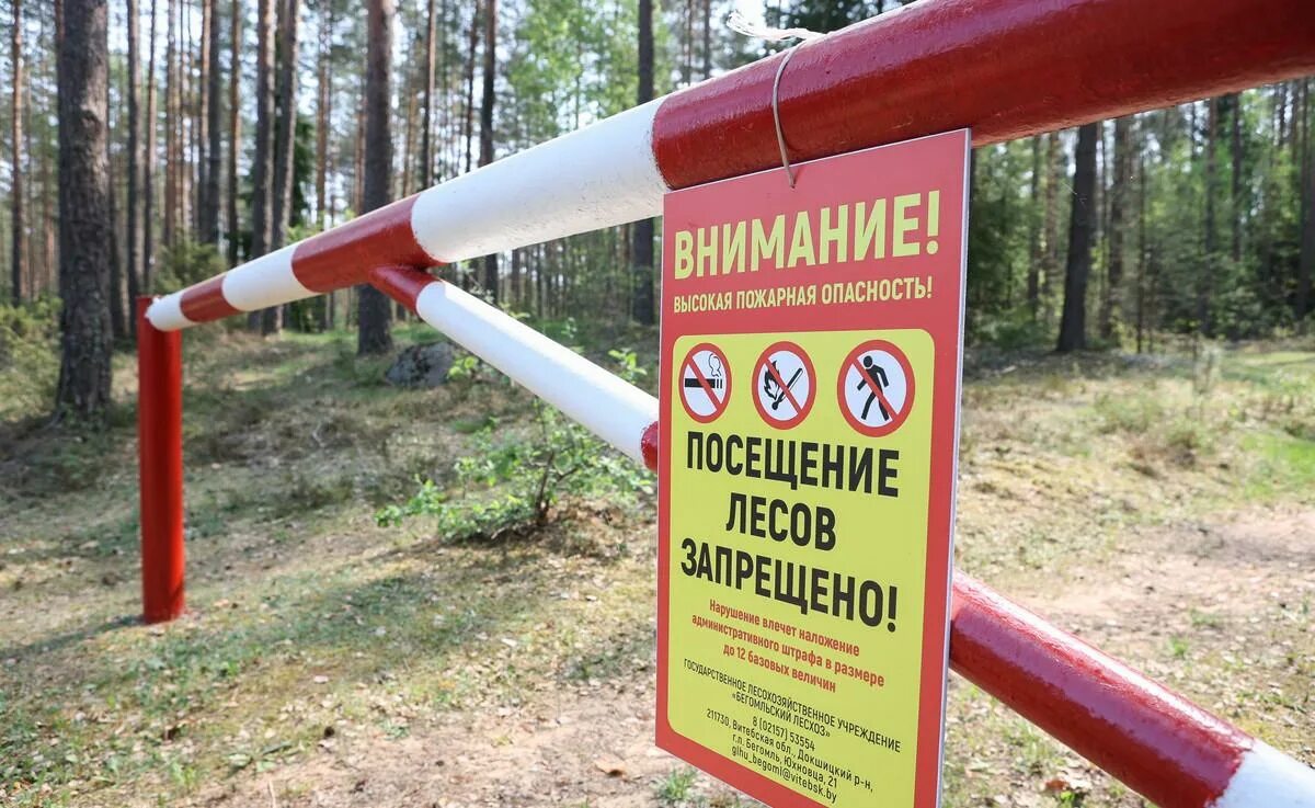 Запрет в лесах беларуси. Шлагбаум в лесу. Запрет на посещение лесов. Шлагбаум Лесной. Шлагбаум в лесу фото.