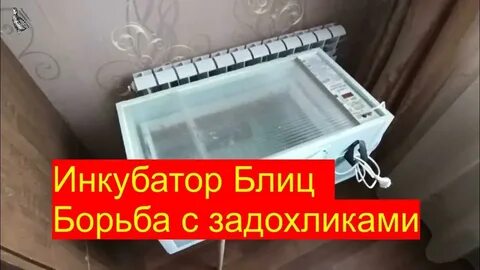 Блиц дели