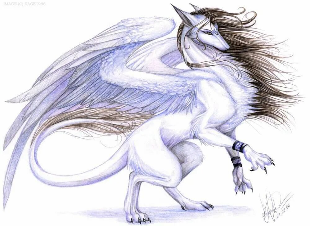 срисовки мистических животных. срисовки мистических животных. сказочные существа карандашом. мифические существа чб. срисовки мистических животных.