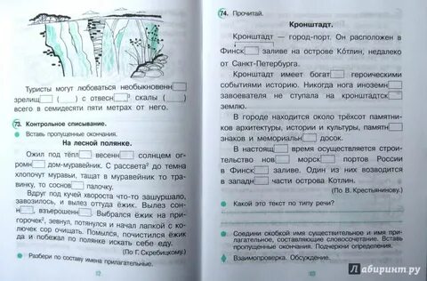 Из под кучи хвороста вылез ежик зевнул