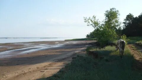 Гисметео приморск волгоградская