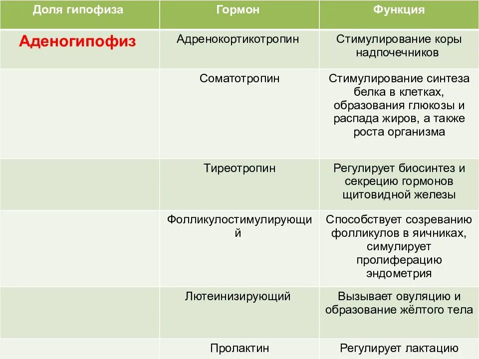 Функции гипофиза. Гипофиз гормоны и функции. надпочичнекигормоны и функции таблица. надпочечникгормоны и функции таблица. гормоны передней доли гипофиза таблица.