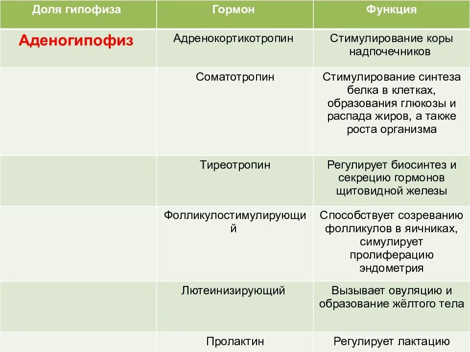 Гормоны надпочечников гормон гипофиза. Аденогипофиз гормоны функции. Гормоны передней доли гипофиза таблица. Гормоны гипофиза и аденогипофиза функции. Надпочечники гормоны и функции таблица.