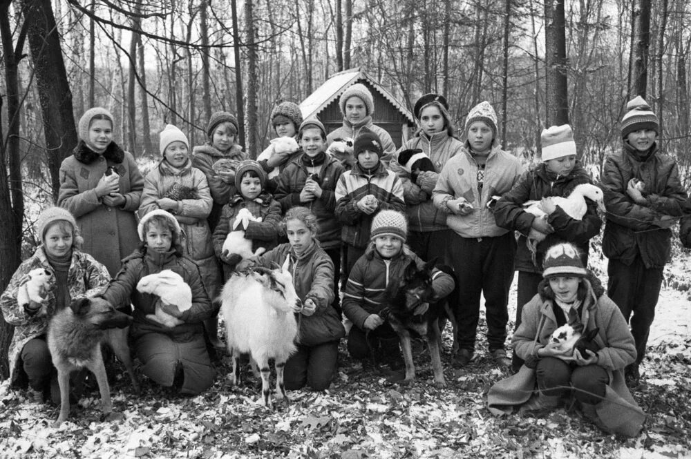 Сообщество натуралистов. Юный натуралист. Эмблема станция юных натуралистов. Клуб юных натуралистов логотип. Сообщество натуралистов.