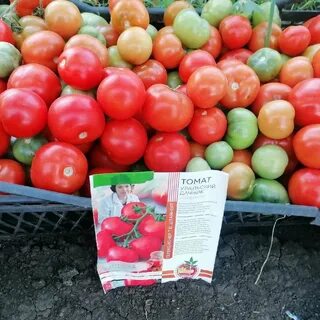 Семена 74 каталог