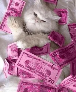 Котики много денег