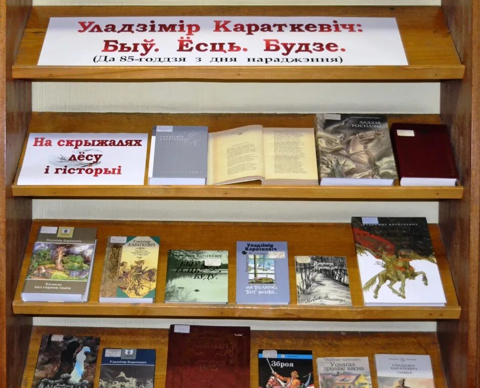 Уладзімір караткевіч. Жыцце и творчасць уладзимира караткевича. Караткевич портрет. Гісторыя беларусі кніга. Гісторыя беларусі у паказе у караткевіча.
