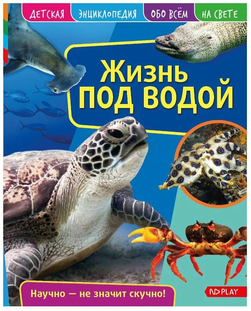 Энциклопедии для детей вода. Энциклопедия для детей про воду. Книги о воде для школьников. Детские энциклопедии о воде. Энциклопедии для детей вода.