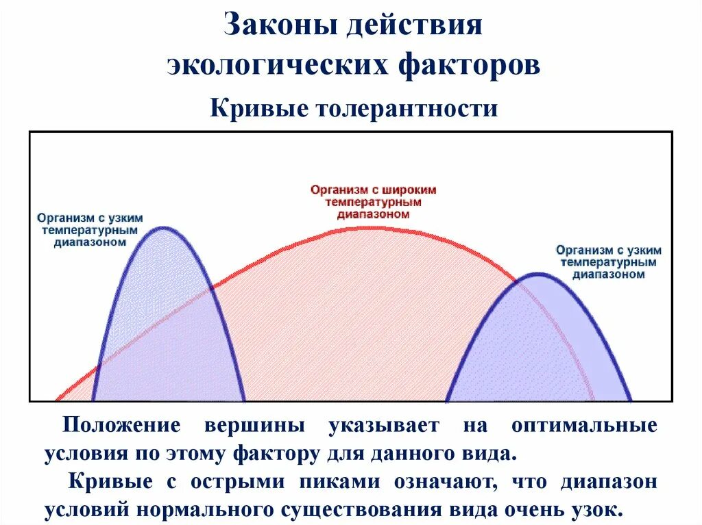 Законы экологии факторов. Действие экологических факторов. Законы действия экологических факторов. Действие экологических факторов на организм. Характеристика экологических факторов.