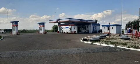 Автобус выселки краснодар завтра