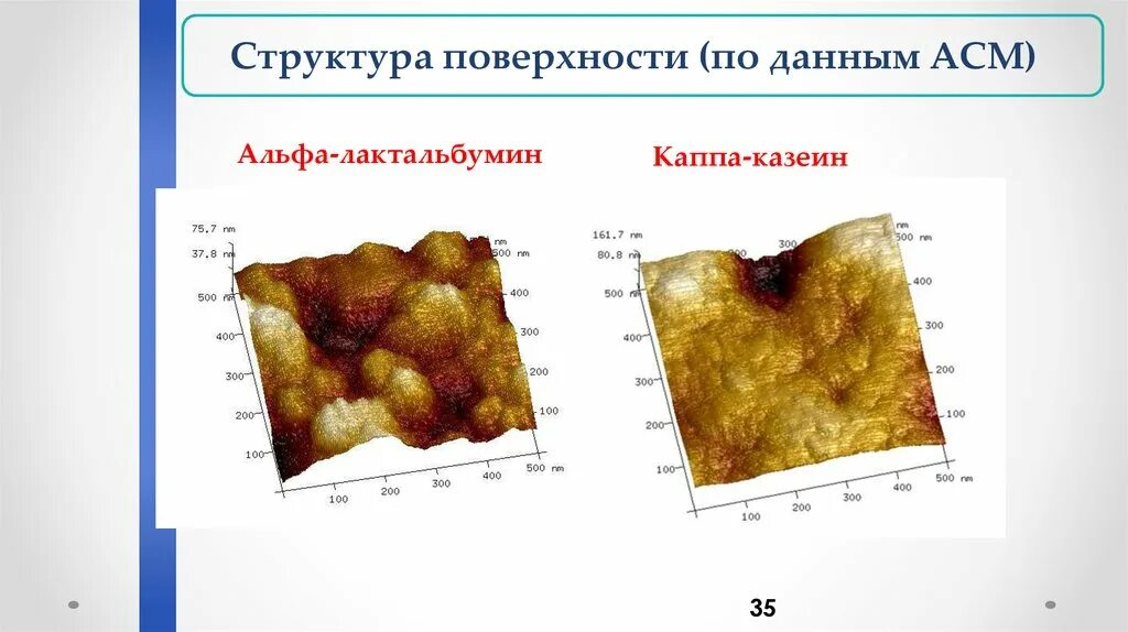 Альфа лактоглобулин что это. Бета-лактоглобулин норма. Термостабильные белки коровьего молока. Альфа лактоглобулин что это. Казеин химическая формула.