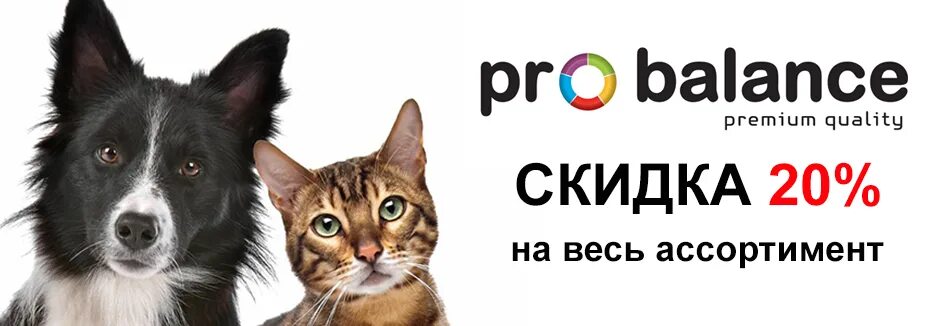 Зоомагазин в городе павловск. Зверолаш. Наш зверолаш. Зверолаш. Зверолаш интернет магазин для животных.