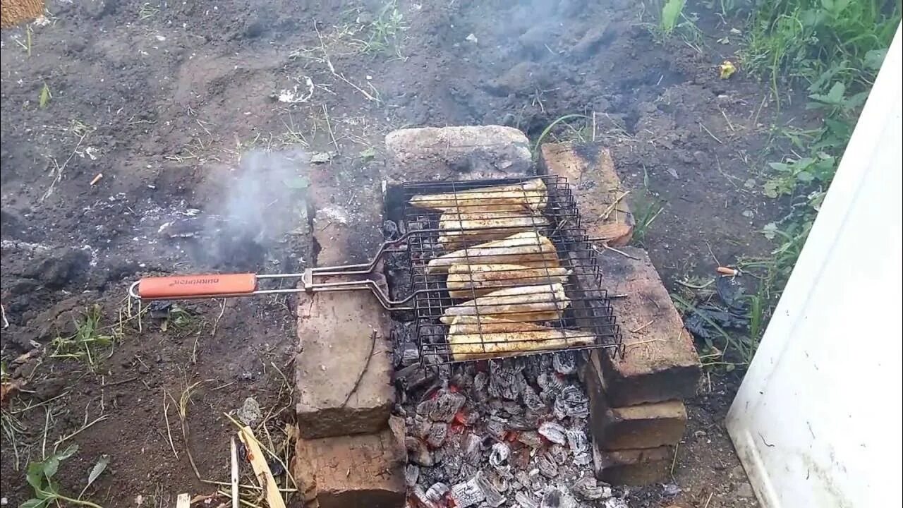Хек на мангале. Хек на мангале. Шашлык из скумбрии. Шашлык из скумбрии на мангале. Хек на мангале.