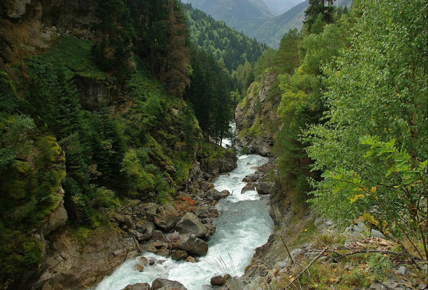 Реки берущие начало в кавказских горах. Ущелье Гоначхир в Домбае. Заповедник Тебердинский Гоначхир. Теберда ущелье Гоначхир. Река Гоначхир Домбай.