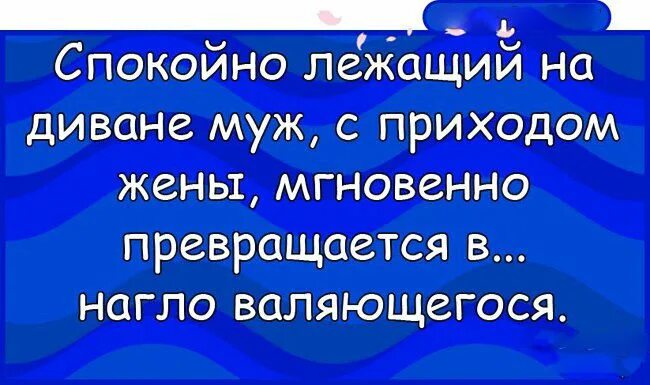 С приходом жены мгновенно превращается. Кошка спит. Мирно лежащий на диване муж с приходом жены. Спокойно лежала. Пузико кота.