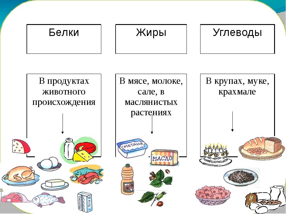 Продукты которые содержат много белка и мало жиров. Продукты богатые белком таблица бжу. В чем больше белков и углеводов. В чем больше белков и углеводов. Белок жиры и углеводы.