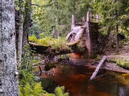 Присущую карельскому перешейку редкую