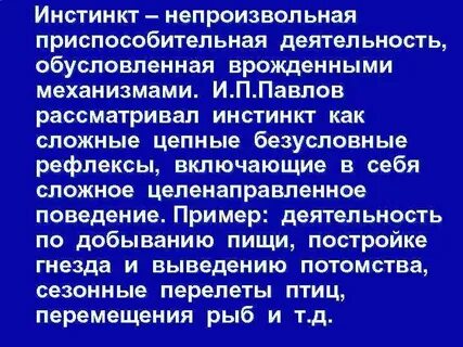 Значение слова инстинкт