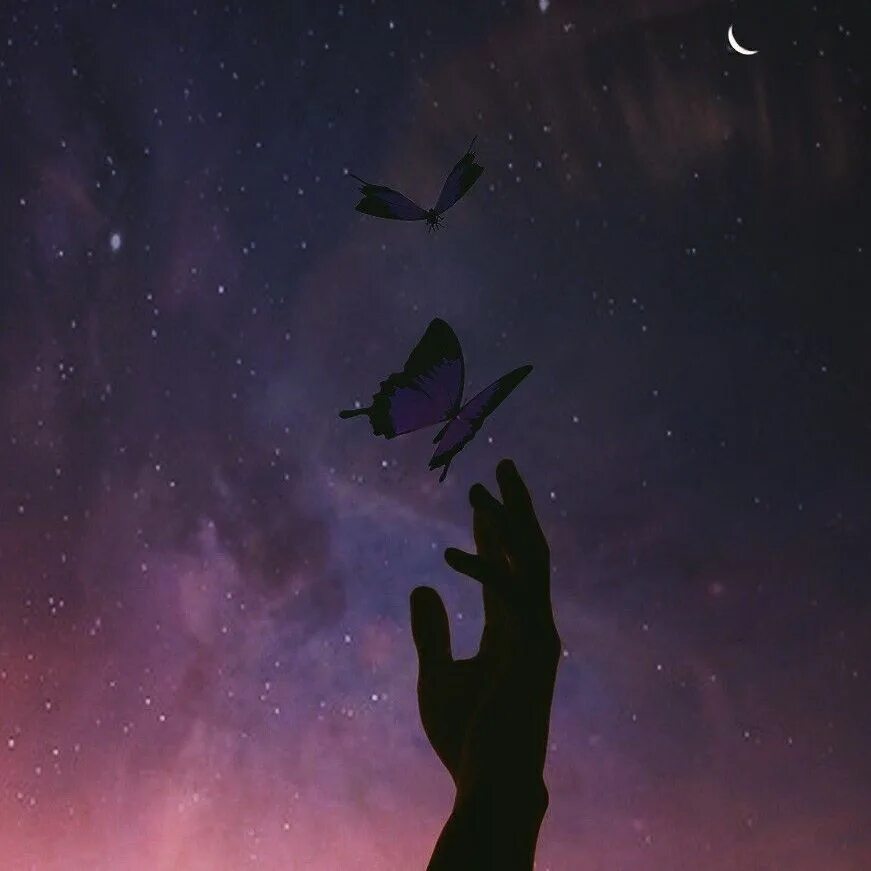 Девушка и небо. Рука тянется к луне. Звезда с неба. Девушка звезда. Дети под звездным небом.