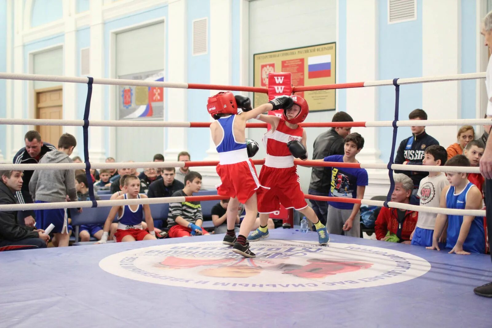 открытый ринг по боксу