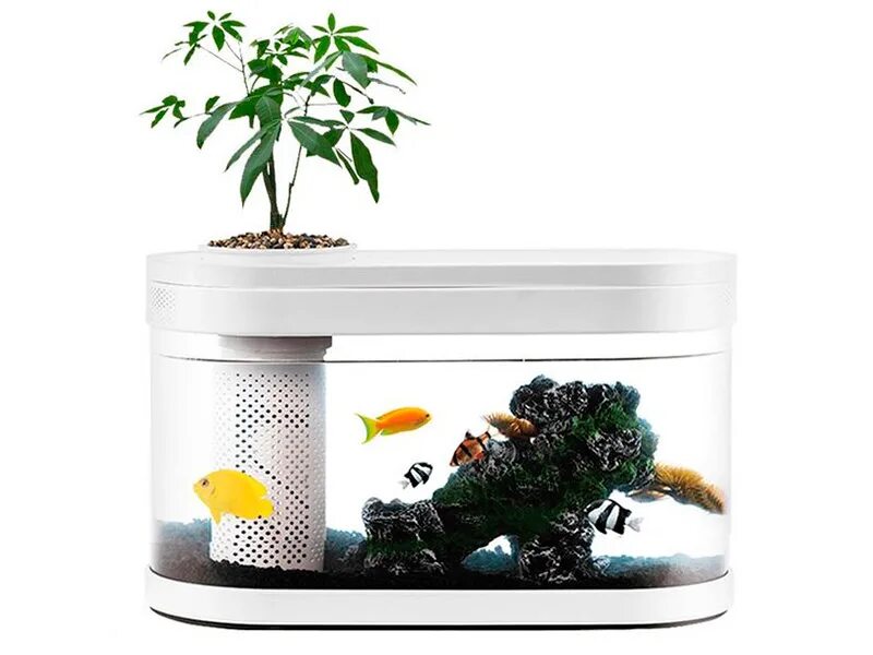 Акваферма купить. Аквариум Xiaomi Geometry Fish Tank Aquaponics ecosystem c180 Standart Set. Аквариум Xiaomi Geometry Fish Tank Aquaponics ecosystem. Аквариум Xiaomi descriptive Geometry. Аквариум Xiaomi - Geometry Fish Tank.