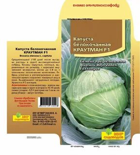 Капуста краутман описание сорта