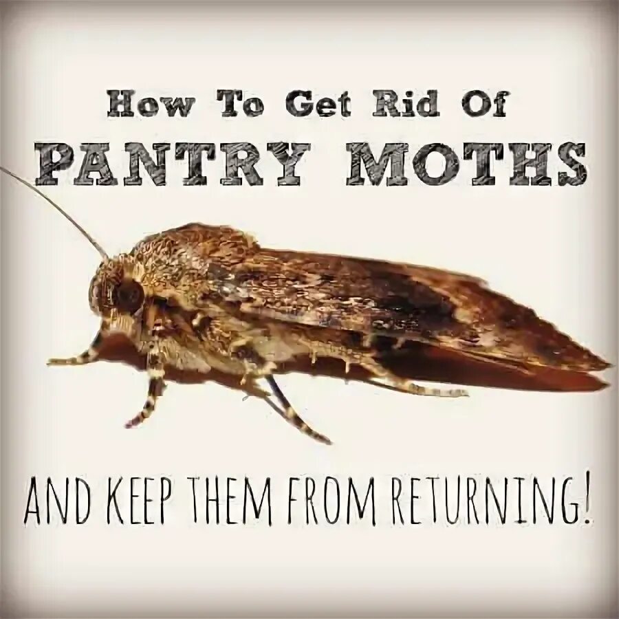 Get rid of the them. Get rid of the them