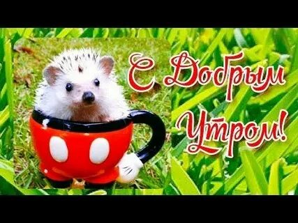 Надпись доброе утро ежики