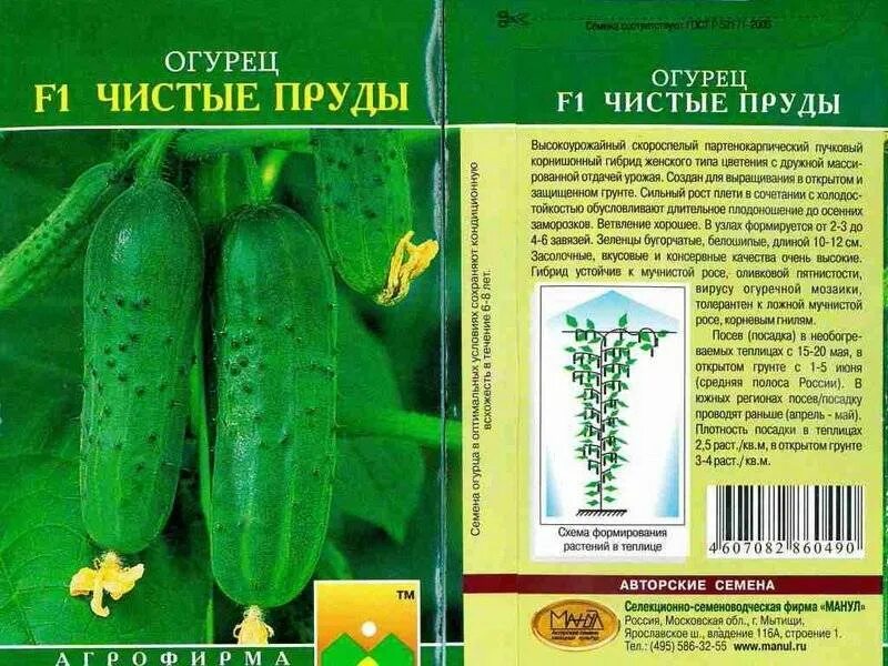 Огурцы партенокарпические сорта для открытого грунта