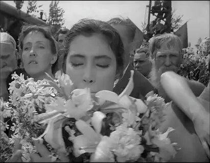 Летят журавли 1957