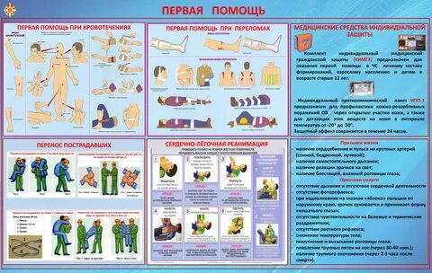 Плакат первая помощь