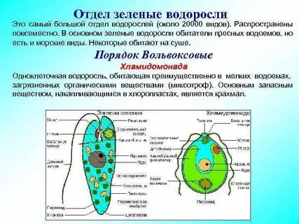 Отдел наиболее