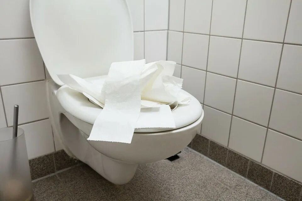 Из чего делают унитазы. Из чего делают унитазы