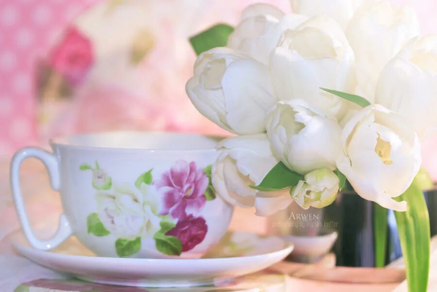 Нежные весенние цветы. Утренние цветы. Нежные цветы в чашке. Весенние цветы в чашке.